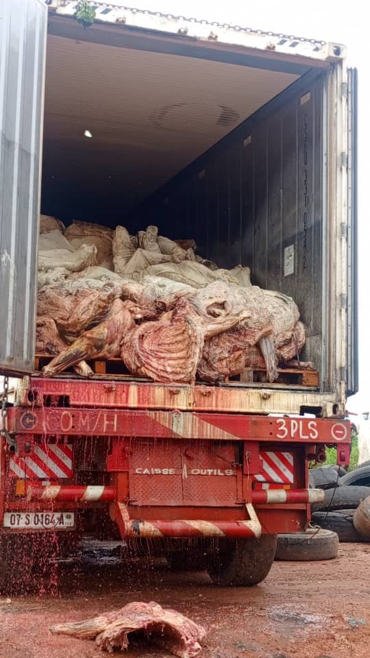 ولايةلوغون الغربي ضبط 22 طنًا من اللحوم الفاسدة قبل وصولها إلى أسواق مندو.
